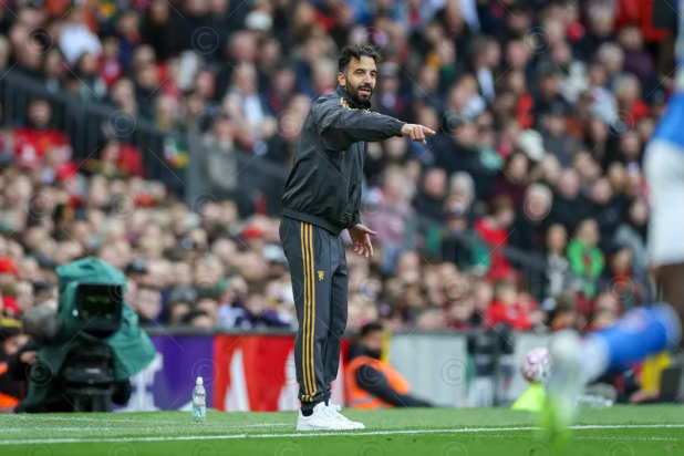 为主帅阿莫 为主帅阿莫